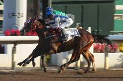 爱游戏在线-史卓觊觎三分，为保级斗争继续加油的简单介绍