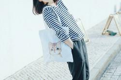 AYX官方直播-舞台的魔法，当萨拉赫的星光点亮爱尔兰对阵墨西哥的想象之战