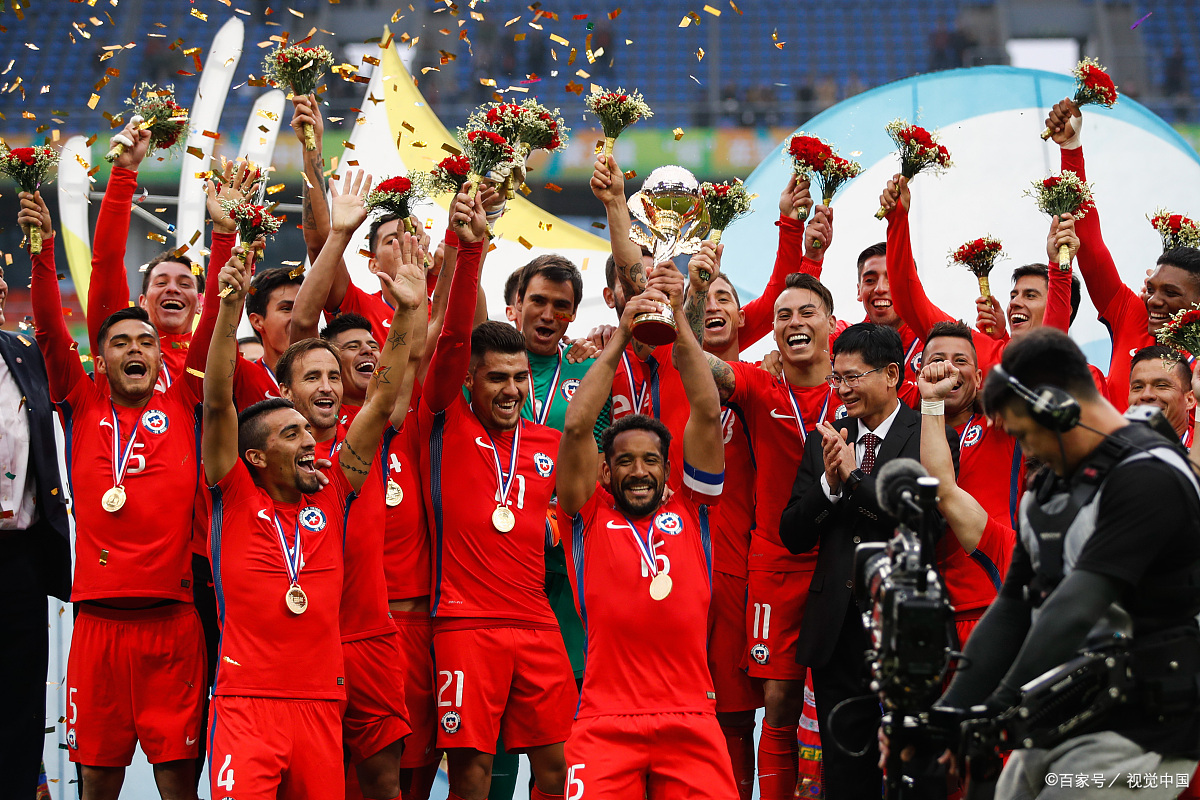 勒沃库森全队全力备战不留遗憾的简单介绍